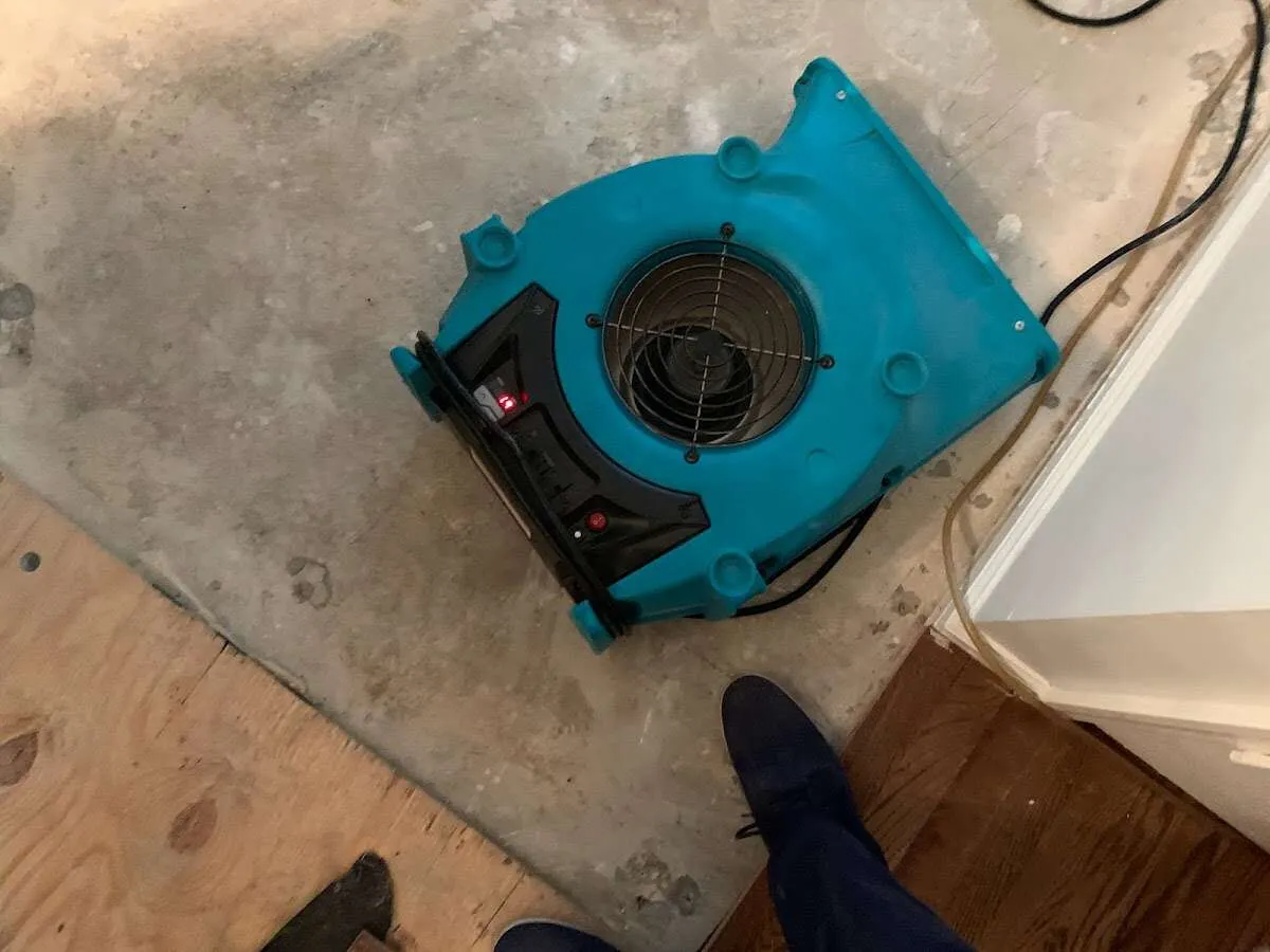 Air mover drying subfloor during Leak Detection & Repair in Batavia